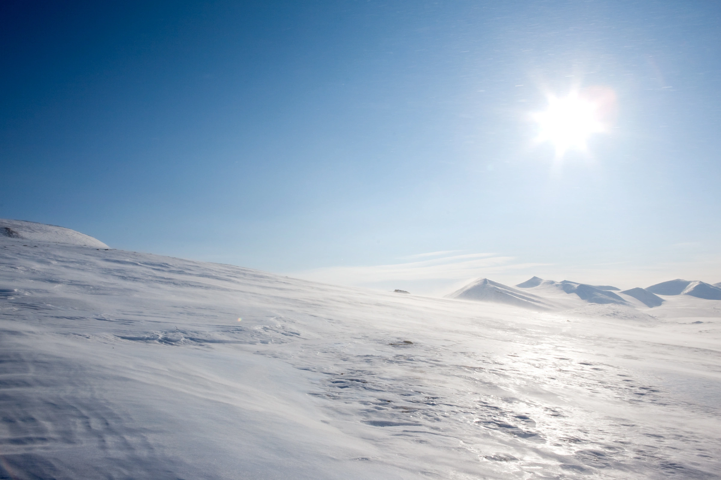 Klovningen_Island,_Spitsbergen[1].webp